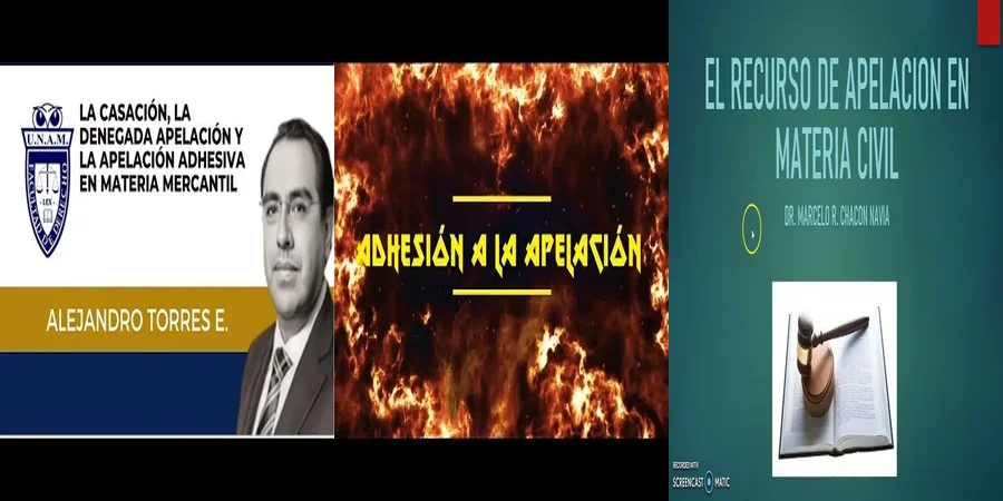 "Aspectos de la apelación adhesiva en el contexto legal mexicano"