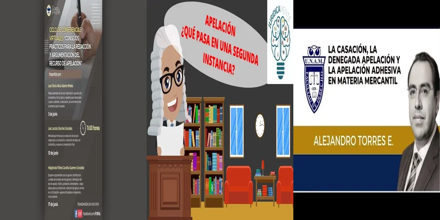 "Aspectos de la apelación mercantil en el sistema legal mexicano"
