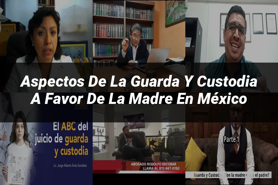 "Aspectos de la guarda y custodia a favor de la madre en México"