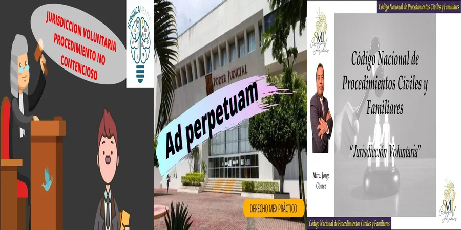 "Aspectos de la jurisdicción voluntaria en inmuebles en México"