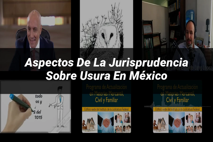 "Aspectos de la jurisprudencia sobre usura en México"