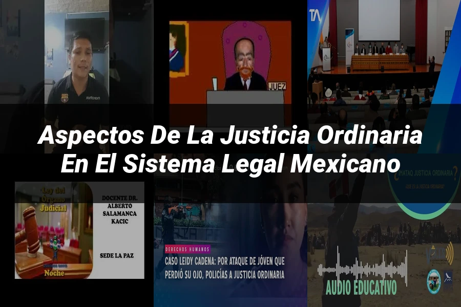 "Aspectos de la justicia ordinaria en el sistema legal mexicano"