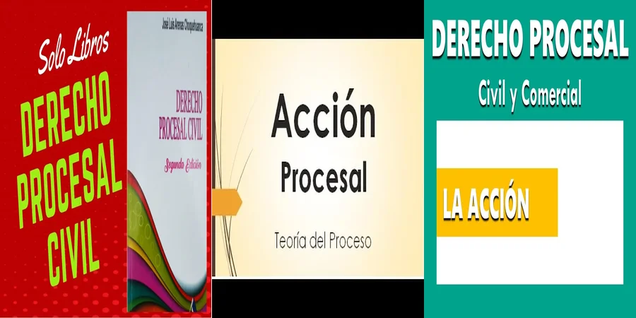 "Aspectos de la justicia procesal en el sistema legal mexicano"