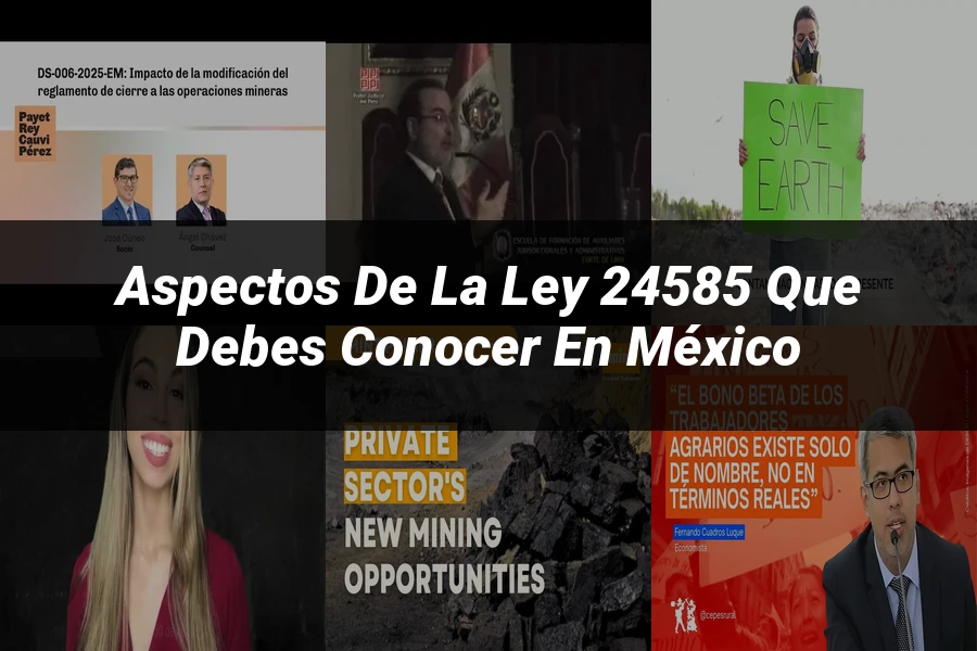 "Aspectos de la ley 24585 que debes conocer en México"
