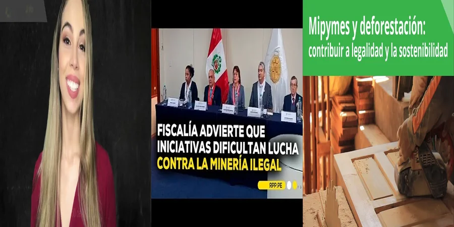 "Aspectos de la ley 24585 que debes conocer en México"