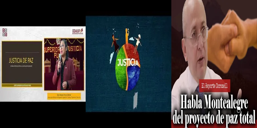 "Aspectos de la ley de justicia de paz en el contexto mexicano"