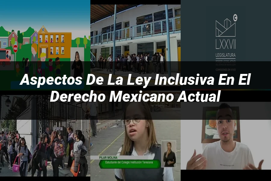 "Aspectos de la ley inclusiva en el derecho mexicano actual"