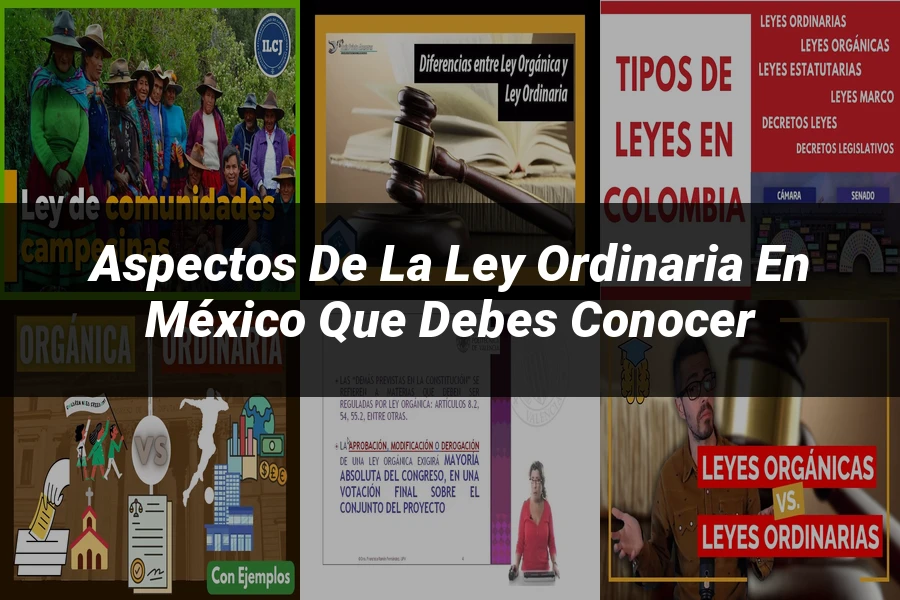 "Aspectos de la ley ordinaria en México que debes conocer"