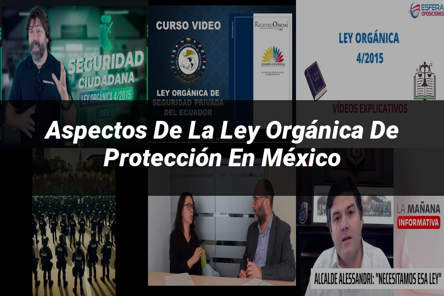 "Aspectos de la ley orgánica de protección en México"