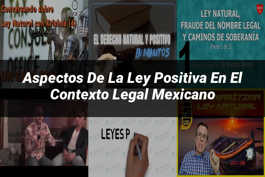 "Aspectos de la ley positiva en el contexto legal mexicano"