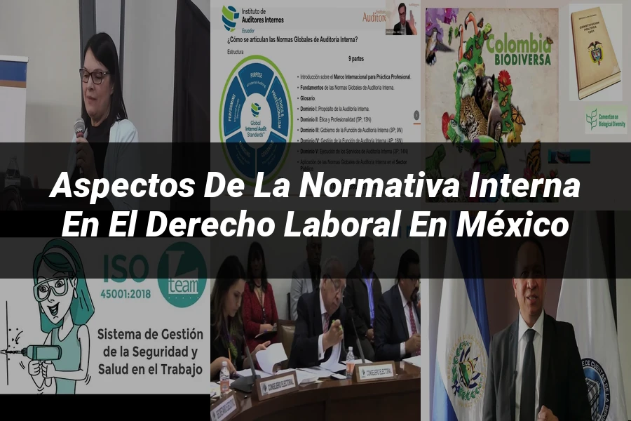 "Aspectos de la normativa interna en el derecho laboral en México"