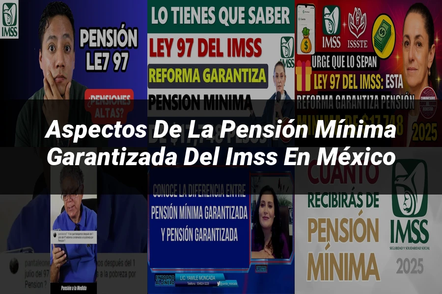 "Aspectos de la pensión mínima garantizada del IMSS en México"