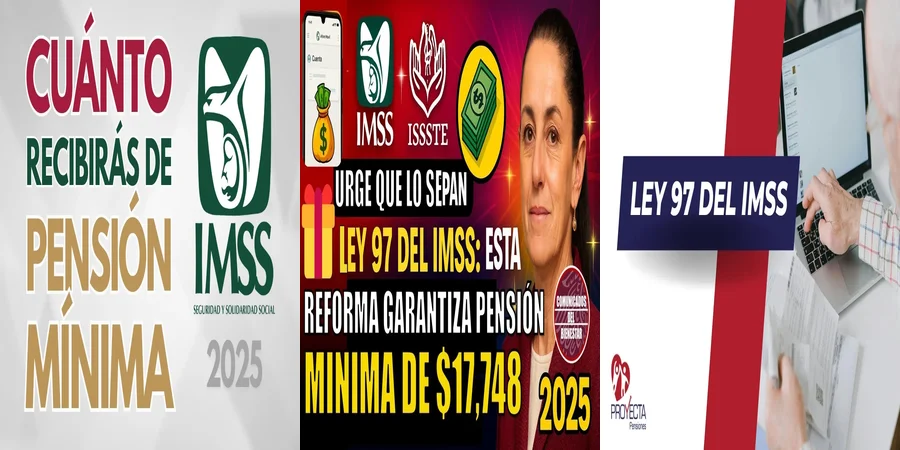 "Aspectos de la pensión mínima garantizada del IMSS en México"