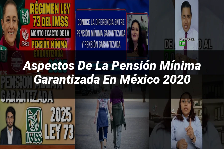 "Aspectos de la pensión mínima garantizada en México 2020"