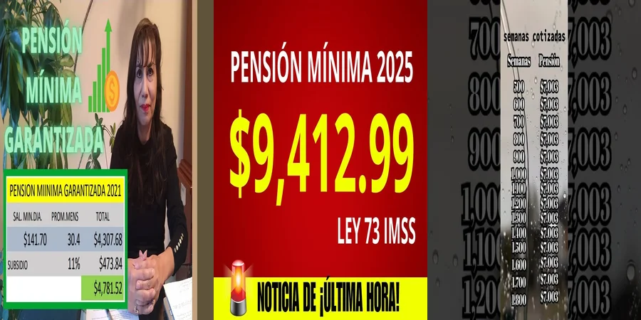 "Aspectos de la pensión mínima garantizada en México 2020"