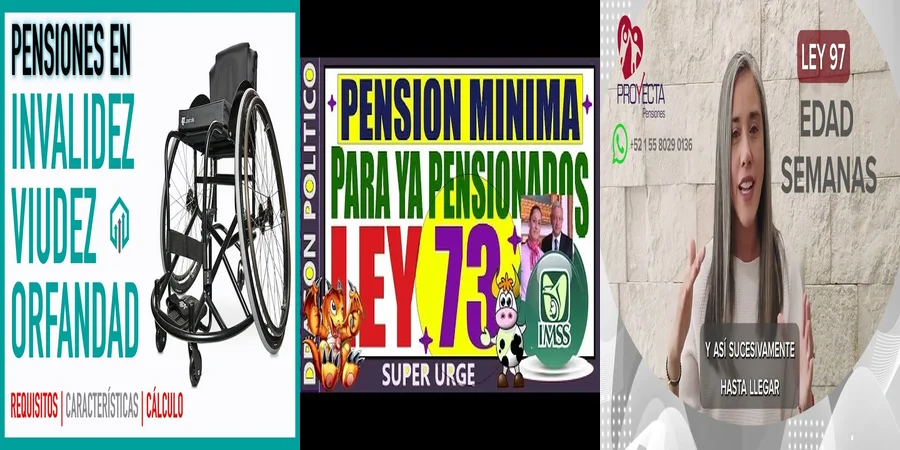 "Aspectos de la pensión por invalidez en la ley 97 en México"