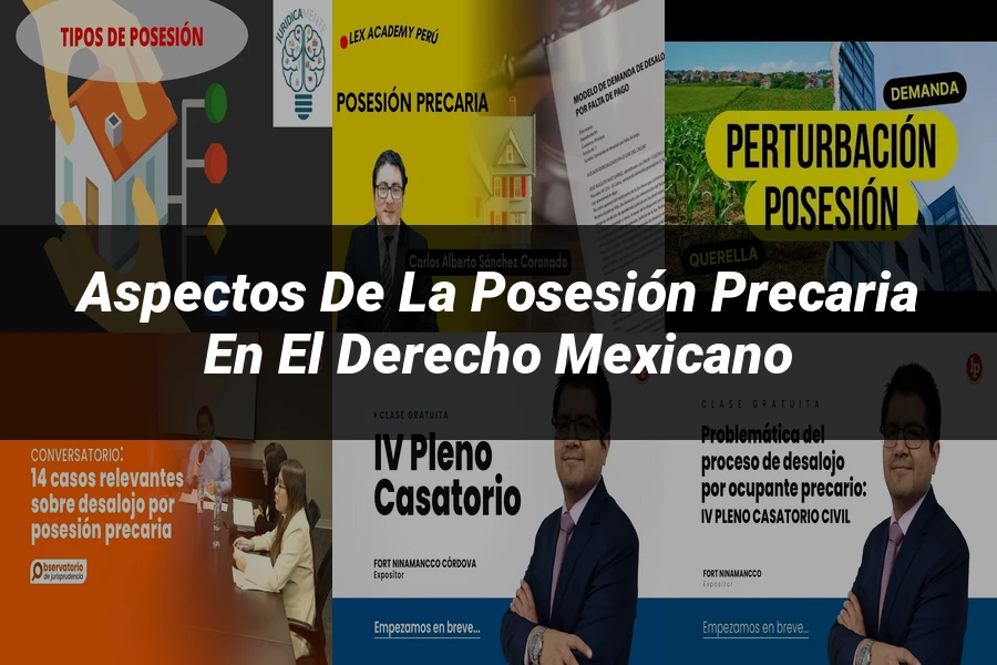 "Aspectos de la posesión precaria en el derecho mexicano"