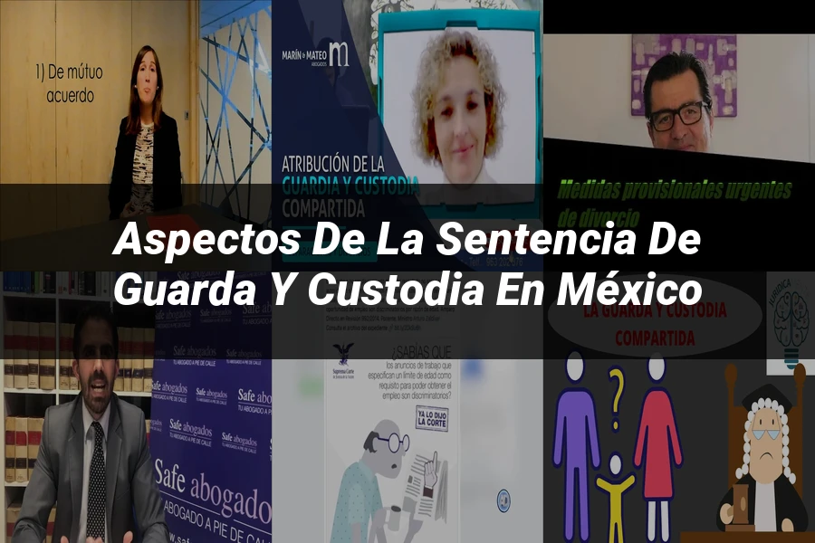 "Aspectos de la sentencia de guarda y custodia en México"