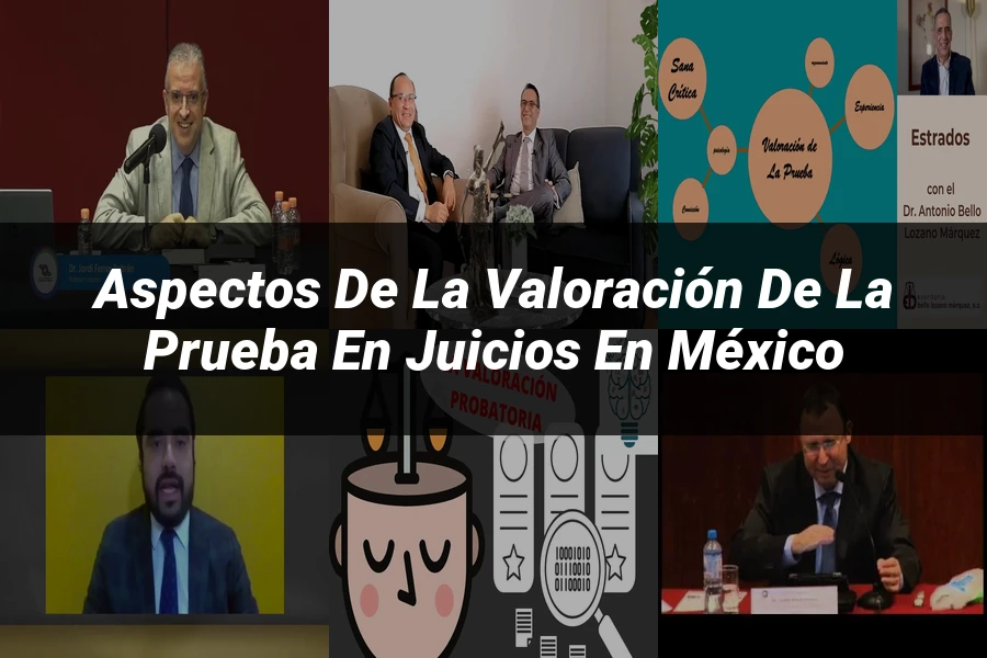 "Aspectos de la valoración de la prueba en juicios en México"