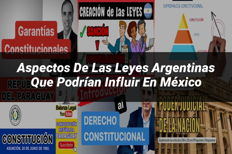 "Aspectos de las leyes argentinas que podrían influir en México"