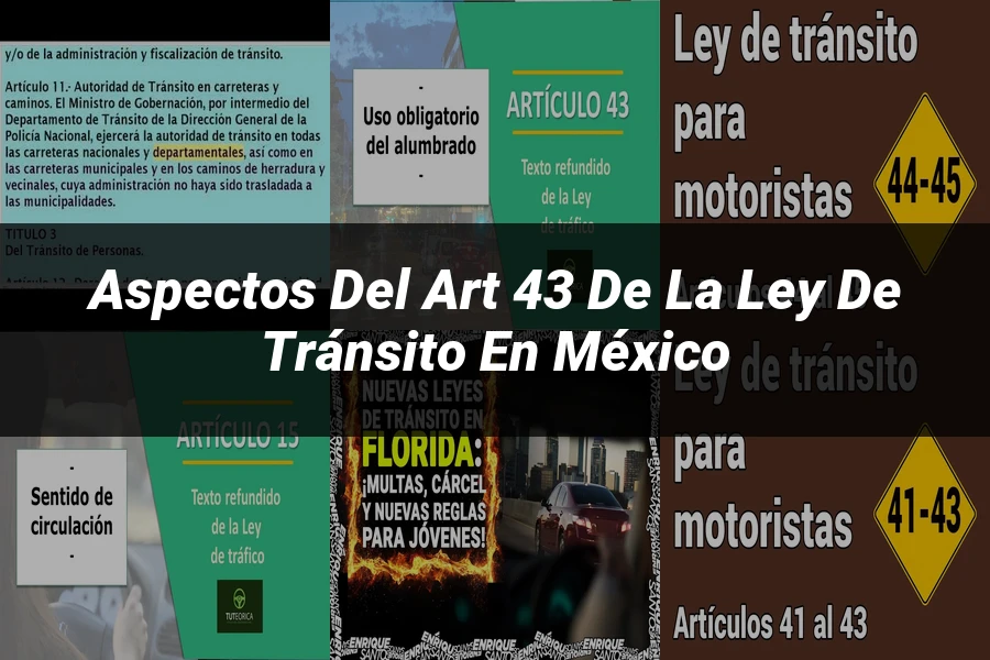 "Aspectos del Art 43 de la Ley de Tránsito en México"