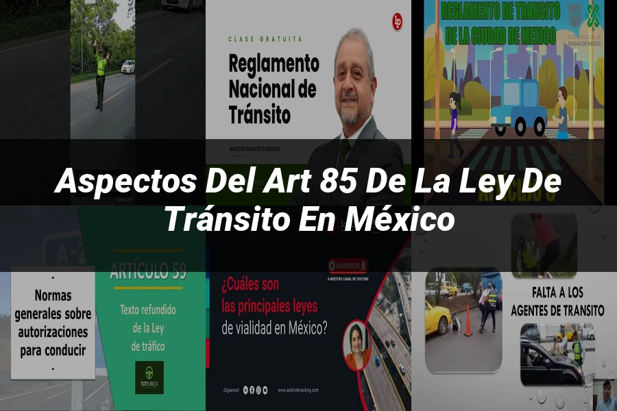 "Aspectos del Art 85 de la Ley de Tránsito en México"