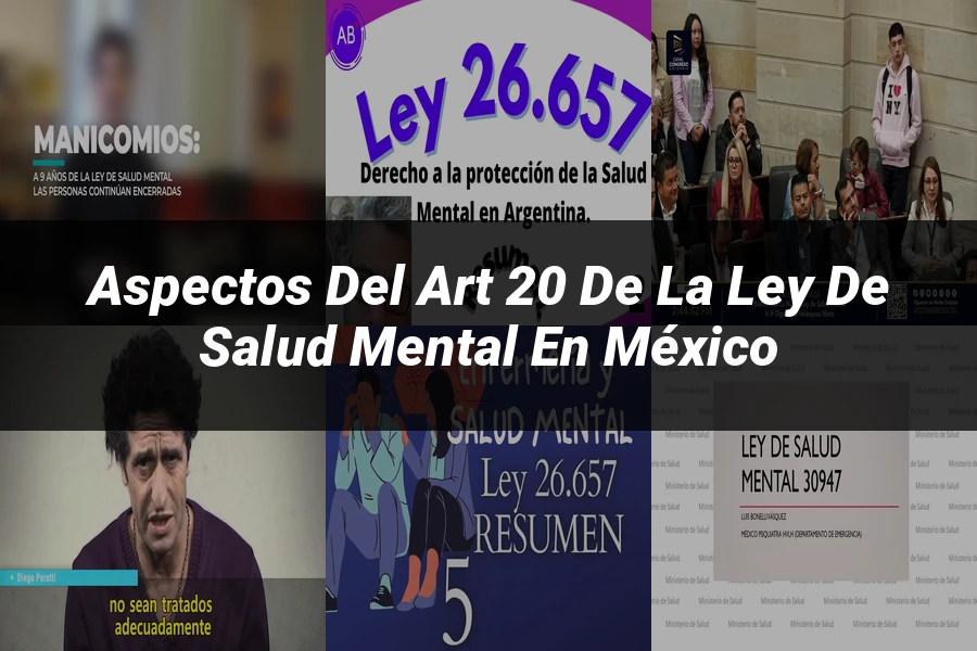 "Aspectos del art 20 de la ley de salud mental en México"