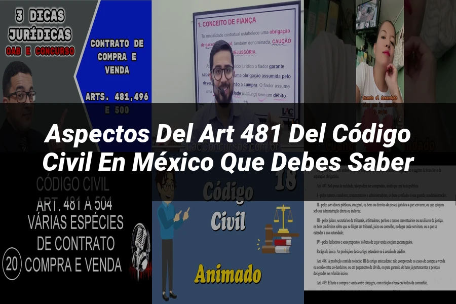 "Aspectos del art 481 del código civil en México que debes saber"