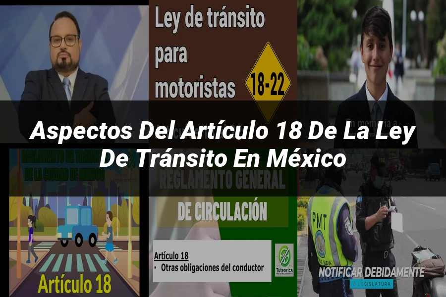 "Aspectos del artículo 18 de la ley de tránsito en México"