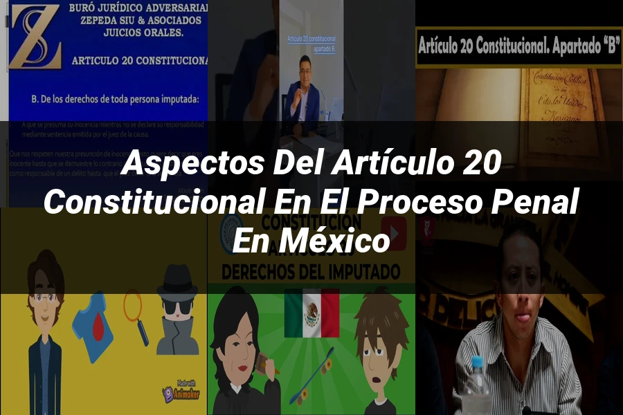 "Aspectos del artículo 20 constitucional en el proceso penal en México"