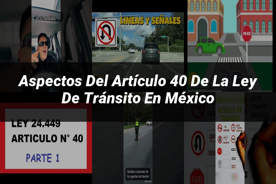 "Aspectos del artículo 40 de la ley de tránsito en México"