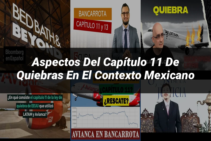 "Aspectos del capítulo 11 de quiebras en el contexto mexicano"