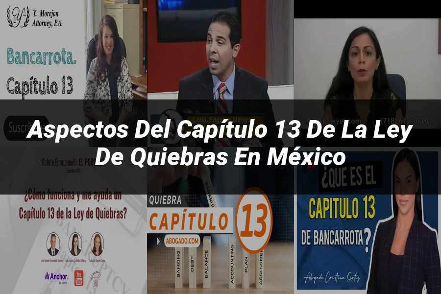 "Aspectos del capítulo 13 de la ley de quiebras en México"