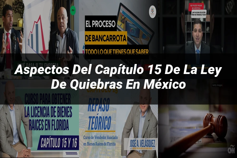 "Aspectos del capítulo 15 de la ley de quiebras en México"