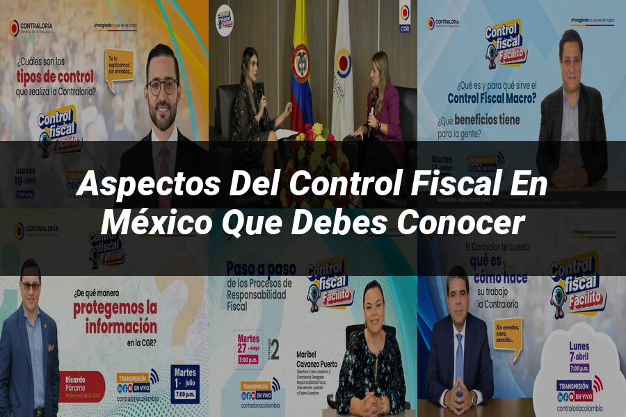 "Aspectos del control fiscal en México que debes conocer"