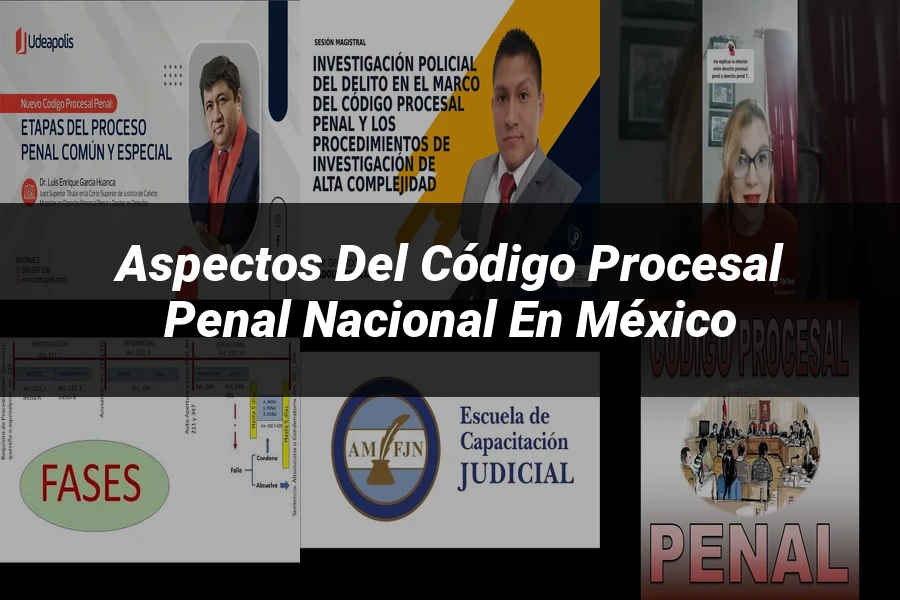 "Aspectos del código procesal penal nacional en México"