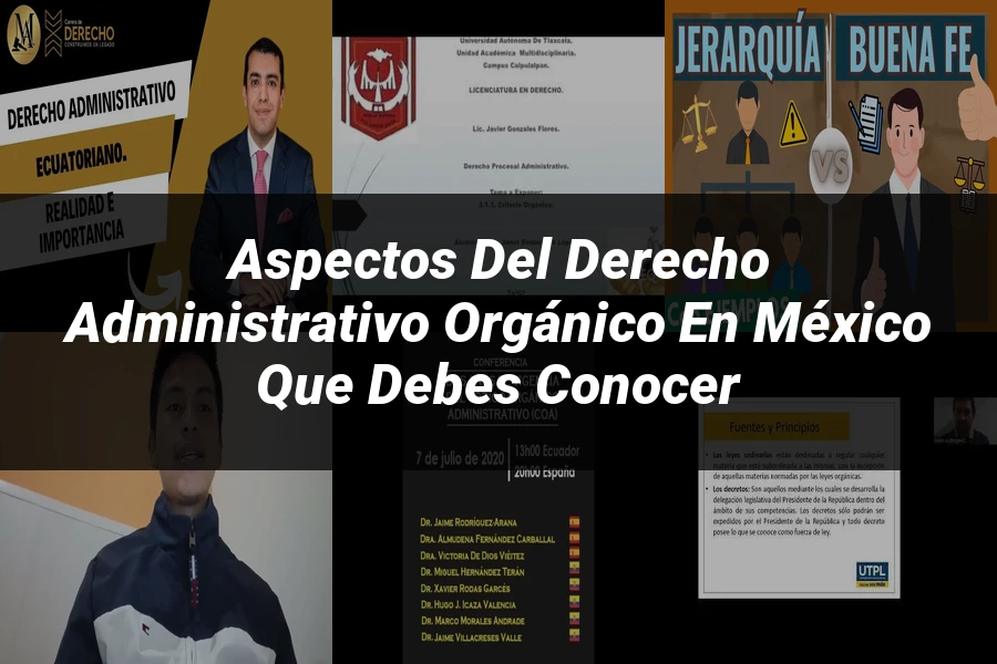 "Aspectos del derecho administrativo orgánico en México que debes conocer"
