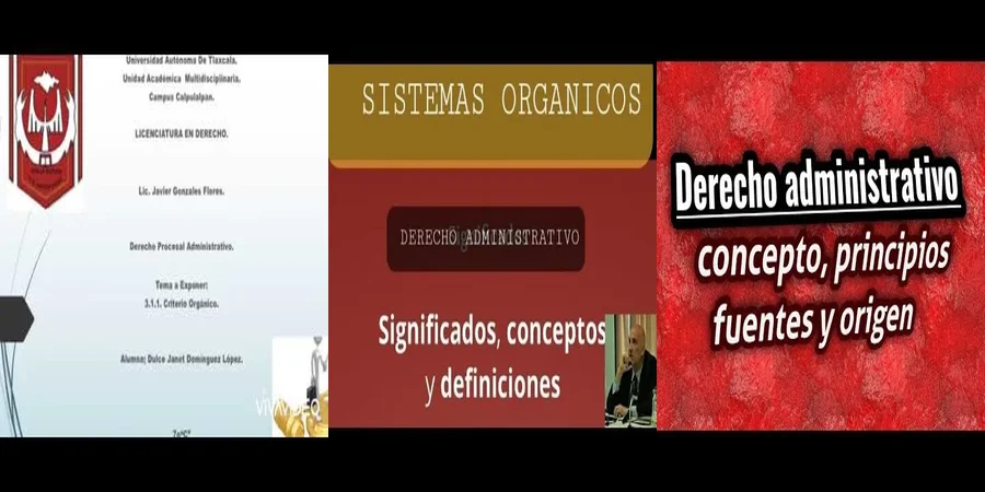 "Aspectos del derecho administrativo orgánico en México que debes conocer"