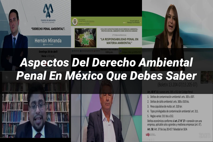 "Aspectos del derecho ambiental penal en México que debes saber"