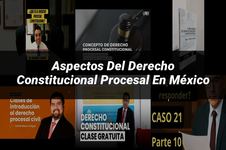 "Aspectos del derecho constitucional procesal en México"