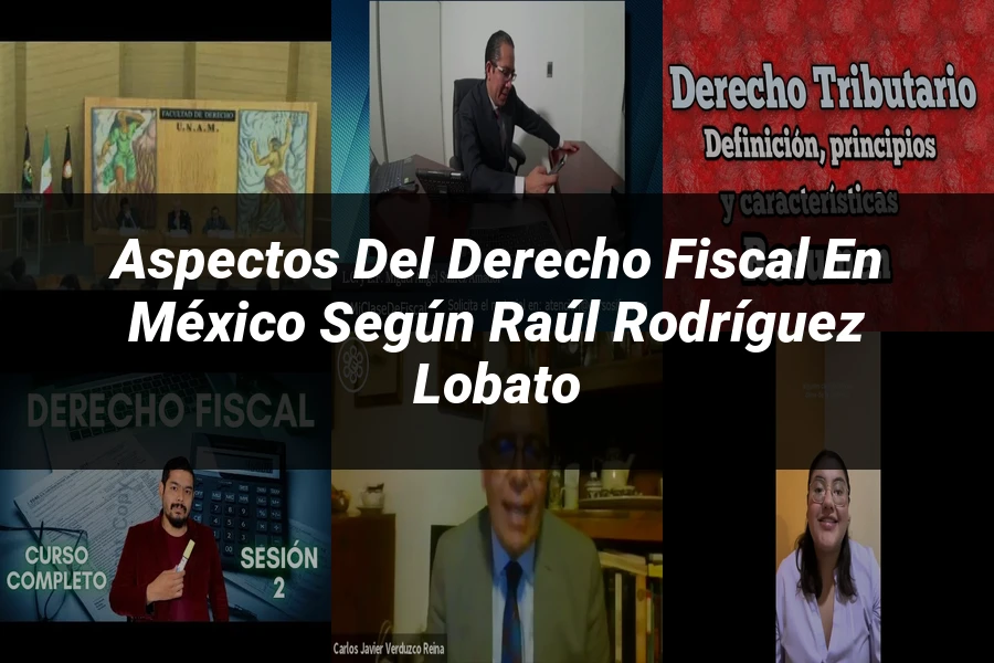 "Aspectos del derecho fiscal en México según Raúl Rodríguez Lobato"