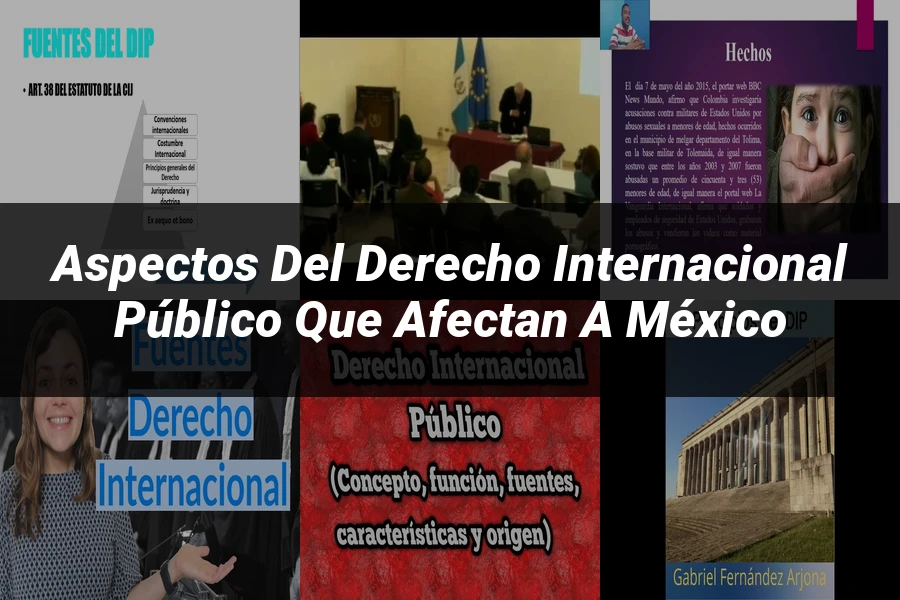"Aspectos del derecho internacional público que afectan a México"