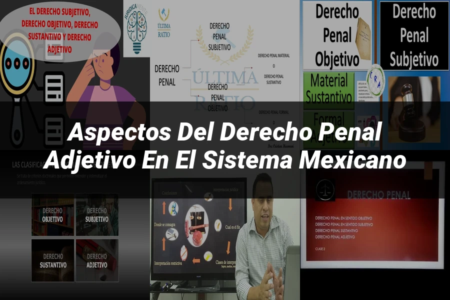 "Aspectos del derecho penal adjetivo en el sistema mexicano"