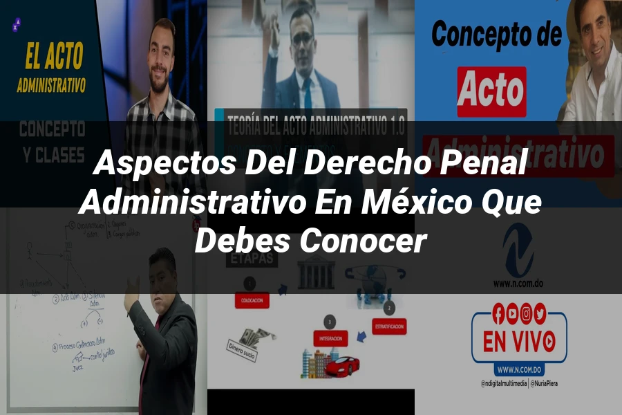 "Aspectos del derecho penal administrativo en México que debes conocer"