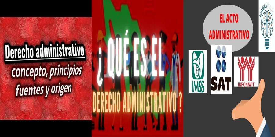 "Aspectos del derecho penal administrativo en México que debes conocer"
