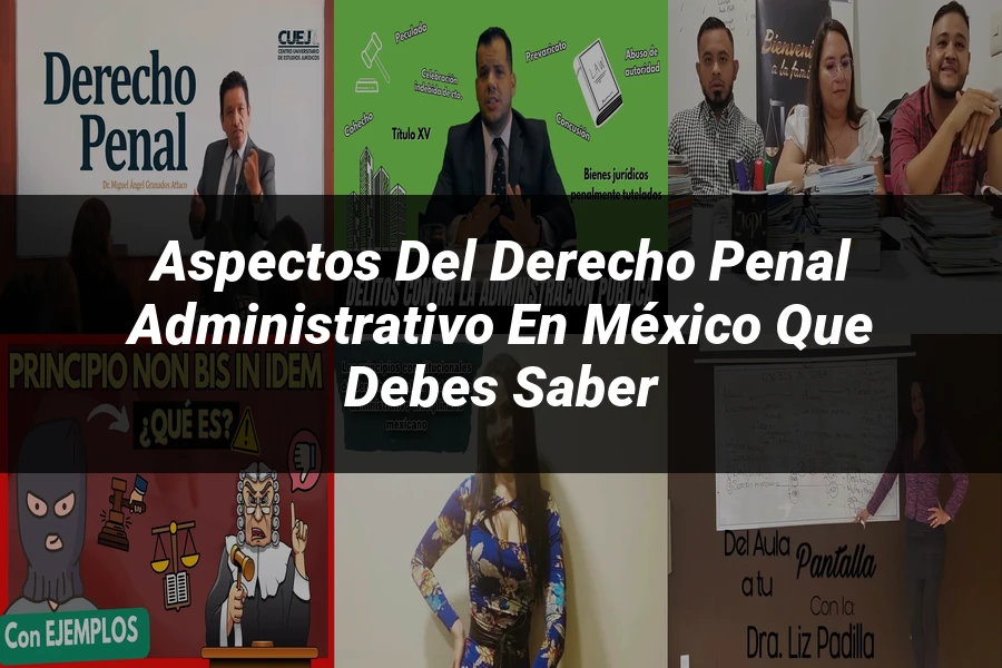"Aspectos del derecho penal administrativo en México que debes saber"