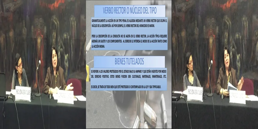 "Aspectos del derecho penal en México según Griselda Amuchategui"