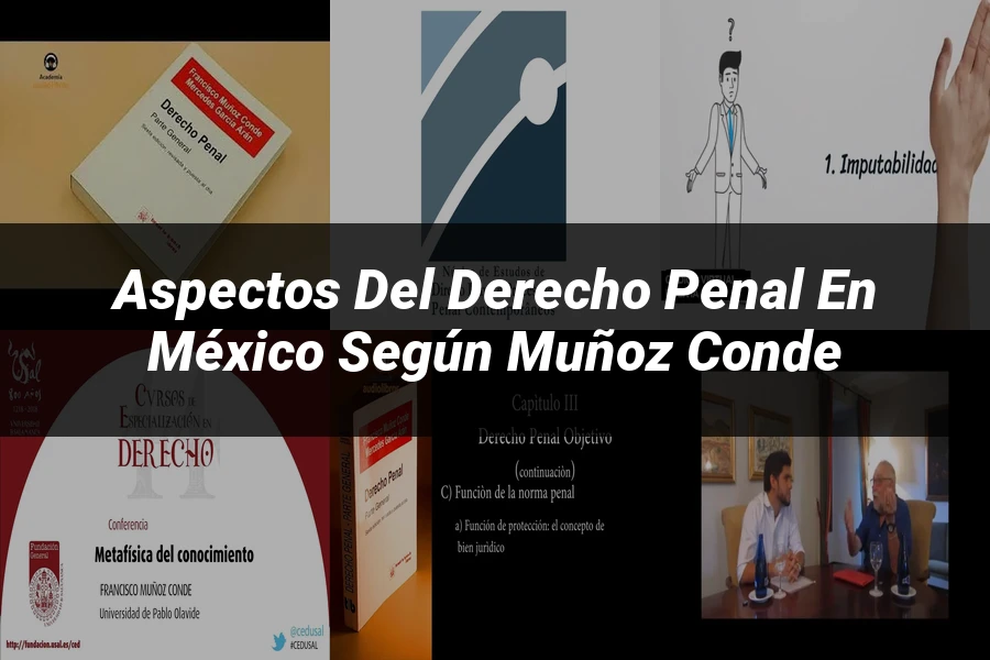"Aspectos del derecho penal en México según Muñoz Conde"