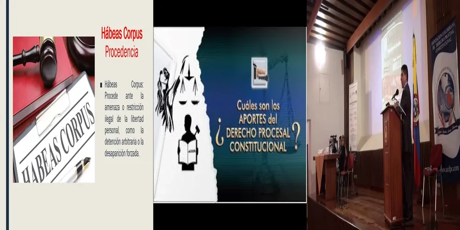 "Aspectos del derecho procesal constitucional en México que debes conocer"