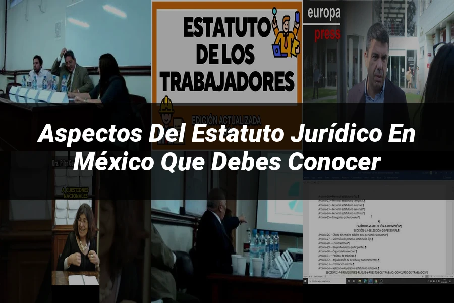"Aspectos del estatuto jurídico en México que debes conocer"